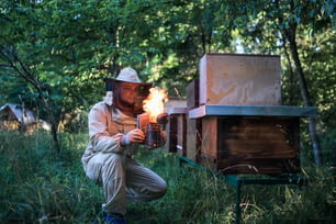 Vorderansichtsporträt eines Imkers, der im Bienenhaus mit einem Bienenraucher arbeitet.