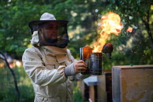 養蜂場で働く養蜂家の正面図のポートレート、ミツバチの喫煙者を使用。
