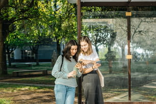 Dos mujeres mirando un teléfono celular en un parque