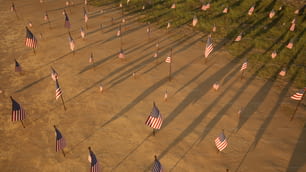 Un grupo de banderas estadounidenses en un campo