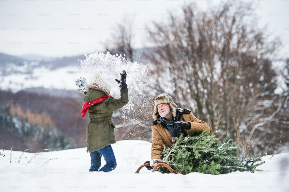 Nonno e una bambina che ricevono un albero di Natale nella foresta, divertendosi. Giornata invernale.