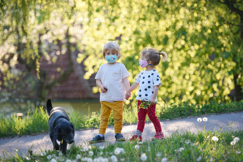 Small children with face masks and dog playing outdoors in countryside, coronavirus concept.