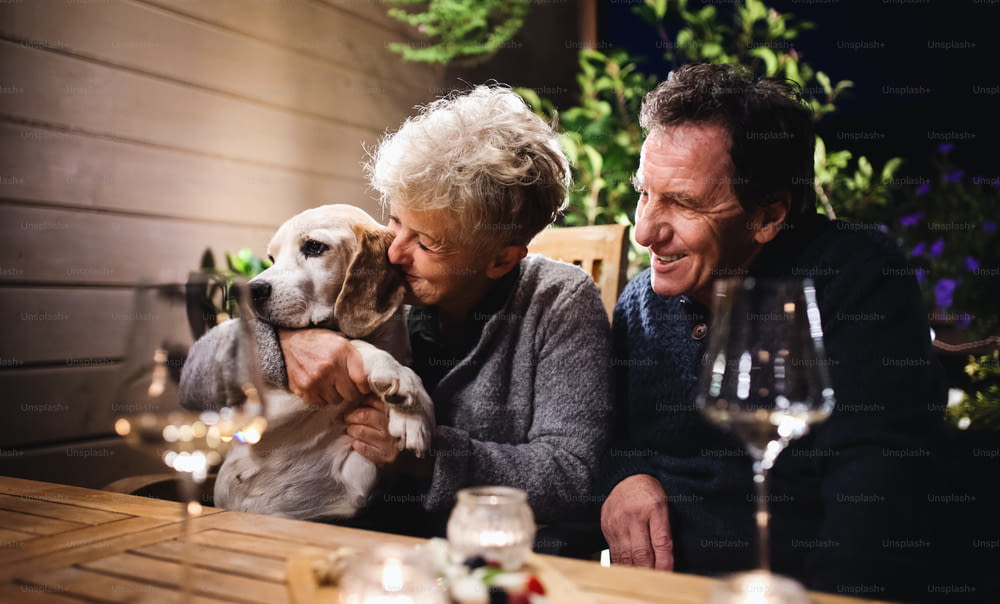 Portrait of senior couple with dog in the evening on terrace, drinking wine.