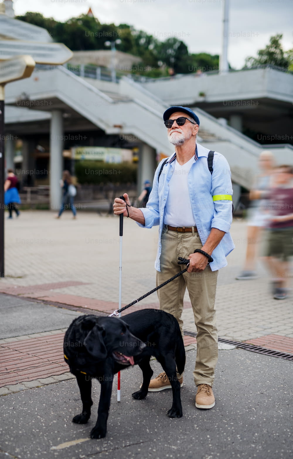 Un homme aveugle âgé avec un chien-guide debout à l’extérieur en ville.