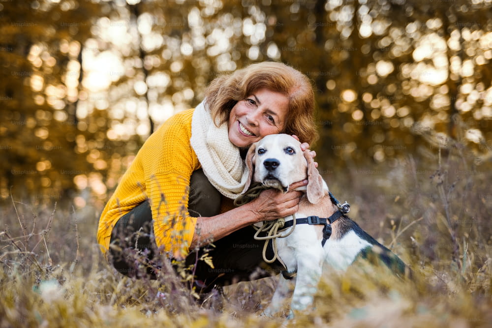 A happy senior woman with a dog on a walk in an autumn nature at sunset.