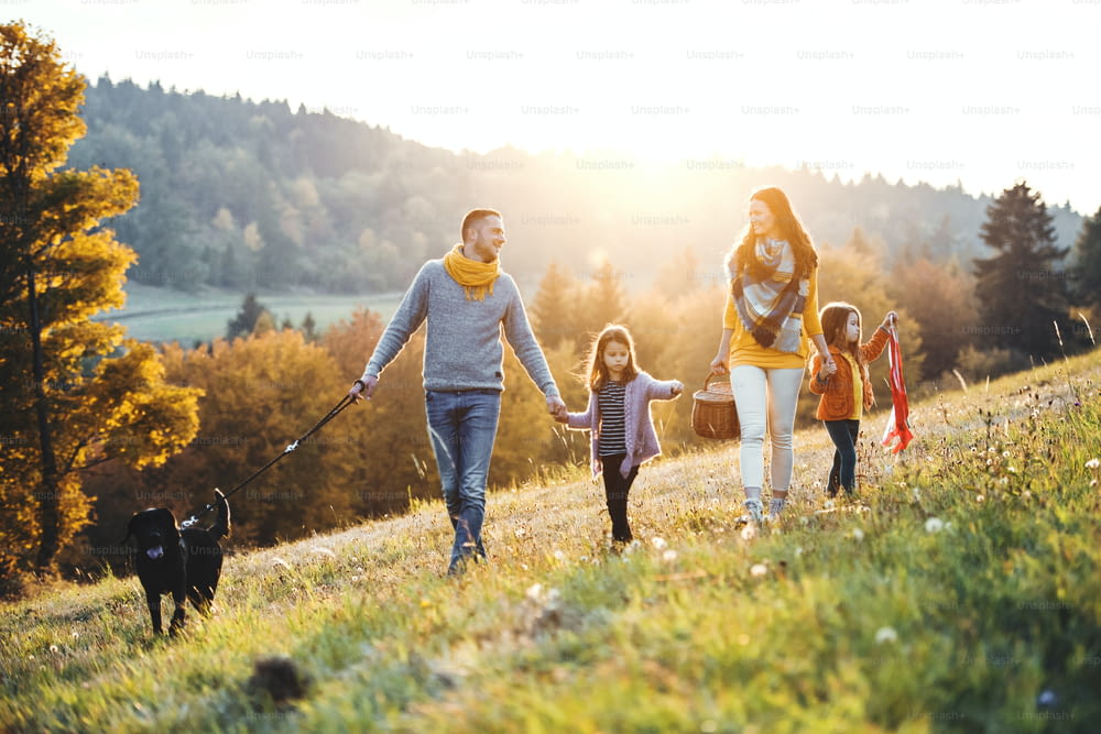 A young family with two small children and a black dog on a walking on a meadow at sunset.