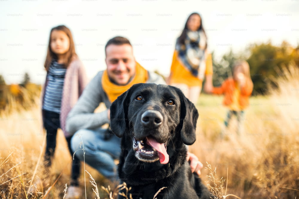 Una familia joven con dos niños pequeños y un perro negro en un prado en la naturaleza otoñal.