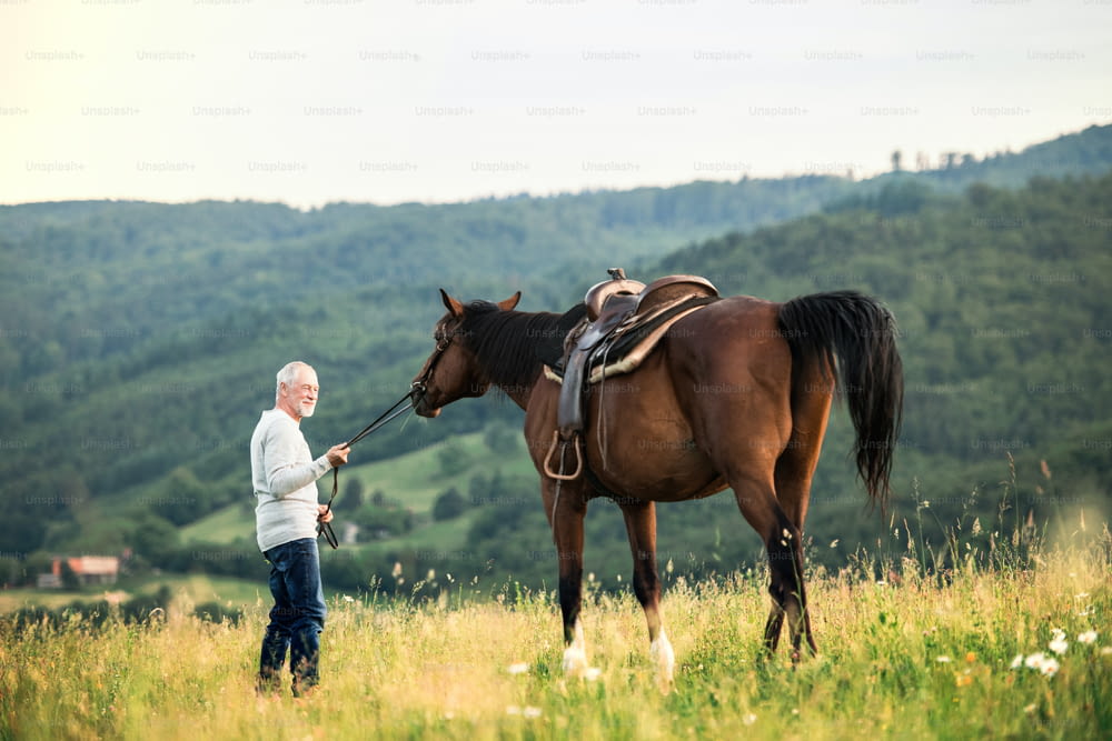 Ein glücklicher älterer Mann, der draußen auf einer Weide ein Pferd an der Leine hält.