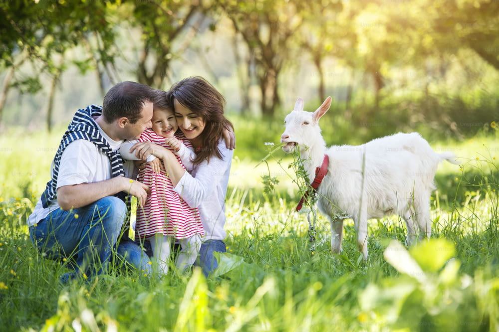 Happy young family spending time together outside in green nature with a goat.