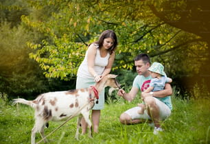 La famiglia felice si sta rilassando nel prato verde con la capra