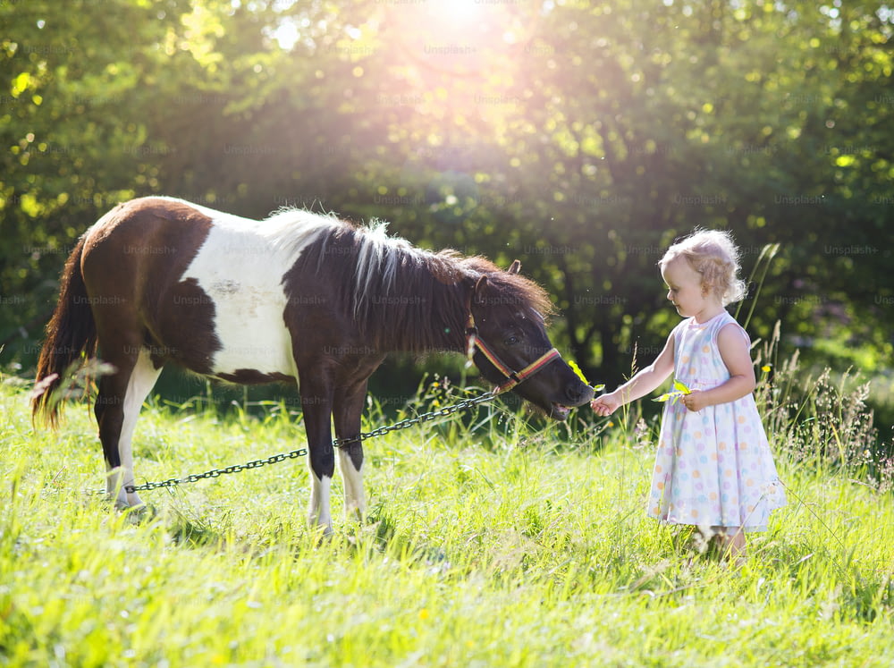 Retrato de una niña divirtiéndose en el campo al aire libre, alimentando pony