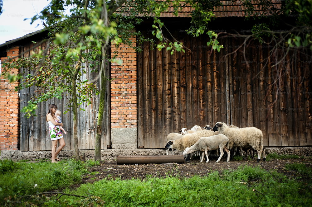 젊은 가족이 농장에서 하루를 즐기고 있다