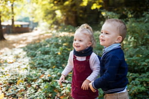 Un retrato de los hermanos gemelos niños y niñas de pie en el bosque de otoño. Espacio de copia.