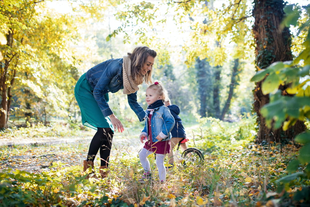 Una hermosa madre joven con gemelos pequeños en un paseo por el bosque de otoño.