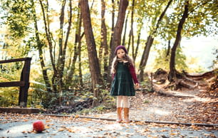 A portrait of a happy small toddler girl standing in forest in autumn nature, sticking out tongue.