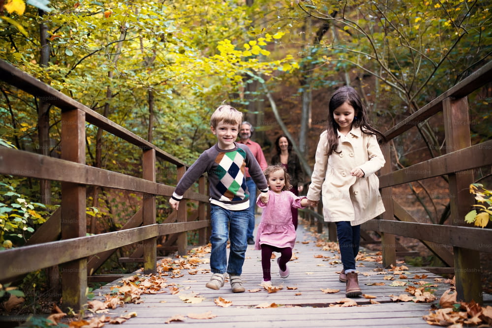 A beautiful young family with small children on a walk in autumn forest, holding hands.