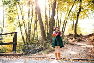 Portrait d’une petite fille en bas âge debout dans la forêt dans la nature automnale. Espace de copie.