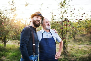 Um homem idoso feliz e um filho adulto de pé de braço dado no pomar de maçãs no outono.
