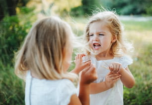 晴れた夏の自然の中で屋外で2人の小さな怒っている女の子の友人や姉妹が髪を引っ張る。