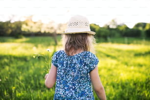 Un retrato de una niña pequeña en el jardín en la naturaleza primaveral. Vista trasera.