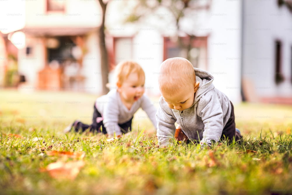 Dois bebês na grama no jardim. Menina e menino engatinhando no chão.