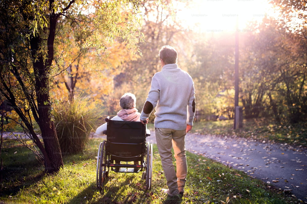 Senior man and elderly woman in wheelchair in autumn nature. Man with his mother or a wife on a walk. Rear view.