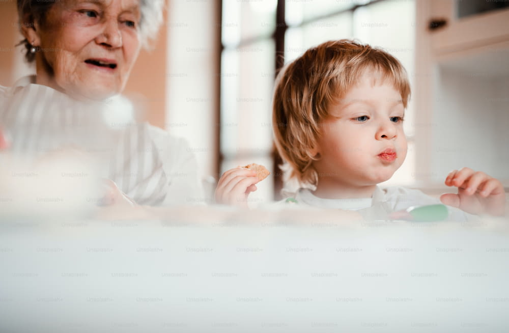 A senior grandmother with small toddler boy making and decorating cakes at home.