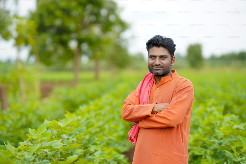 Young indian farmer standing in cotton agriculture field.
