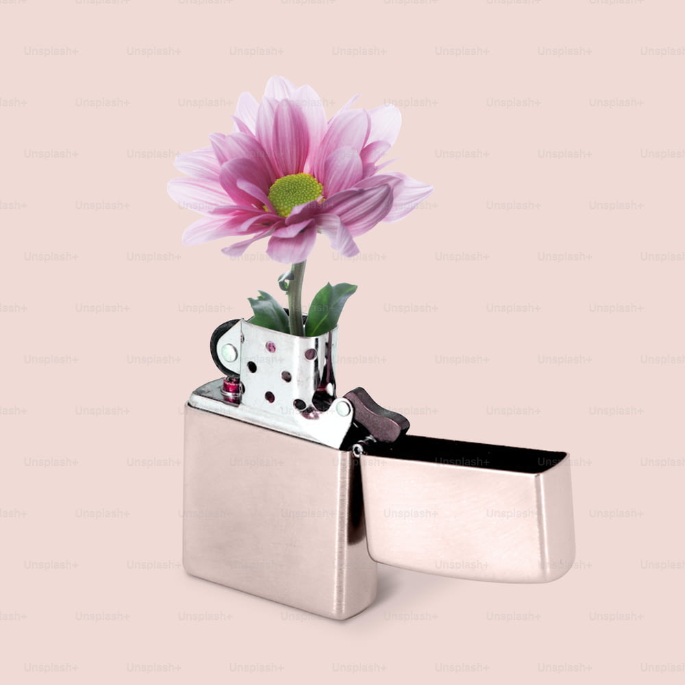 Dein Feuer. Weißes Feuerzeug mit blühender Blume auf zartem rosa Hintergrund. Kopieren Sie Platz für Anzeige, Text. Modernes Design. Konzeptuelle, zeitgenössische, helle Kunstcollage. Partyzeit, lustige Stimmung.