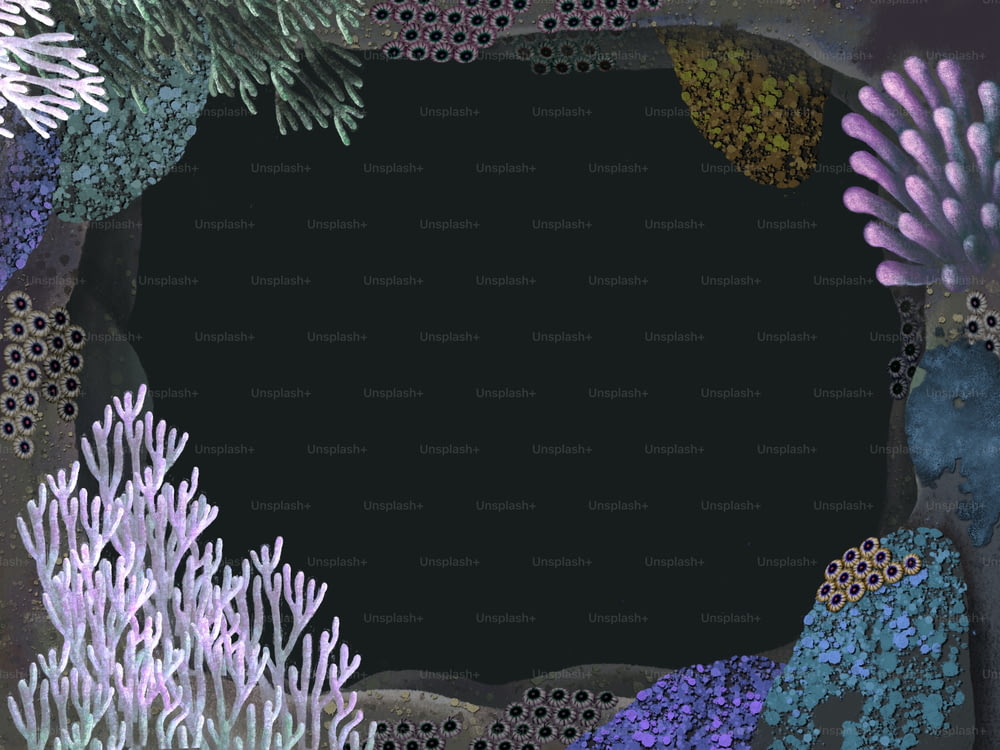 검은 배경, 그림, 그림, 디자인, 복사 공간에 다채로운 산호의 프레임