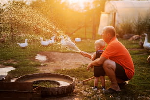 Grandfather and grandson playing with water hose in a backyard of a animal farm. Having fun on a summer day.