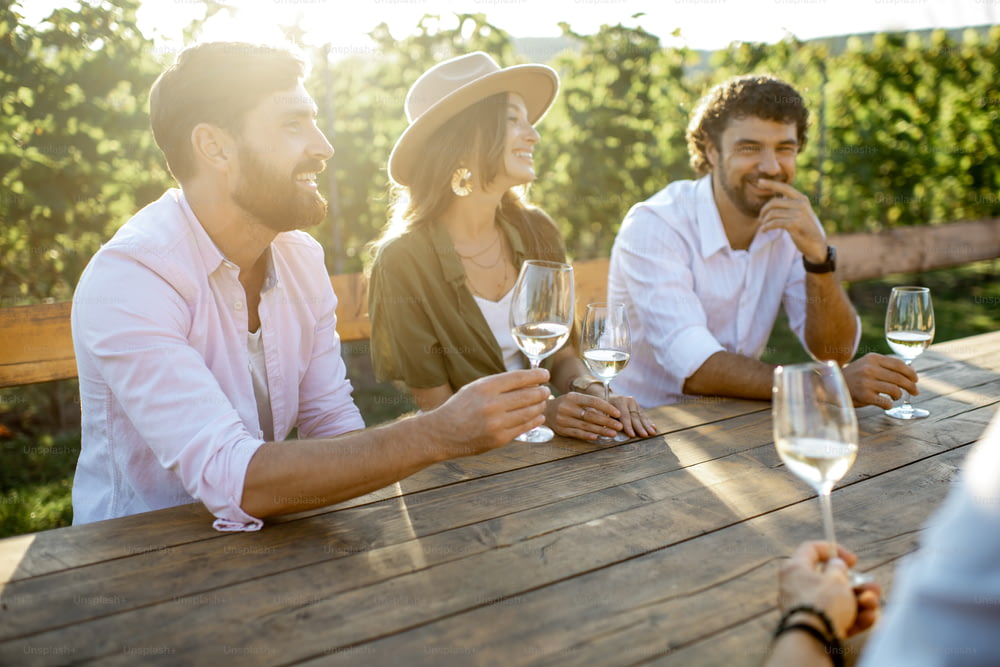 Grupo de jovens bebendo vinho e se divertindo juntos enquanto se sentam à mesa de jantar ao ar livre no vinhedo em uma noite ensolarada