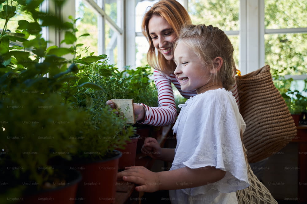 Adorable little girl looking at green plants and smiling while spending time with mother at orangery