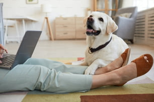 Retrato del perro tirado en el suelo y esperando a la mujer usando la computadora portátil, copiar espacio