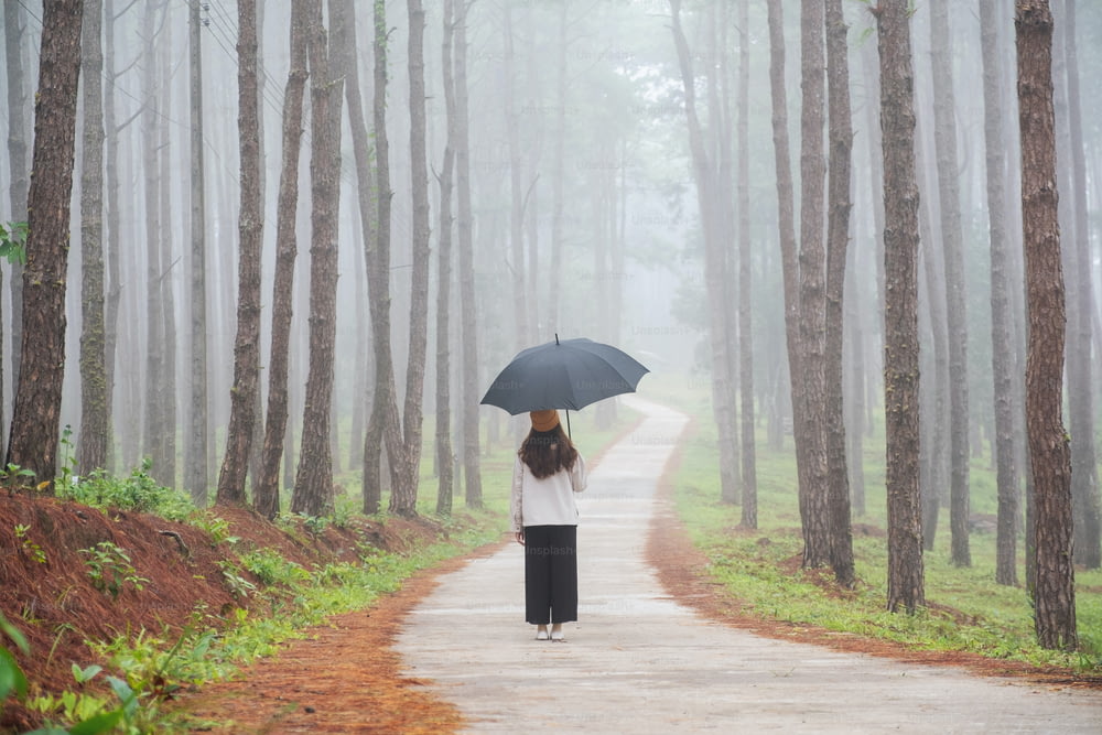 Rückansicht einer jungen Frau mit Regenschirm, die an einem nebligen Tag im Kiefernwald steht