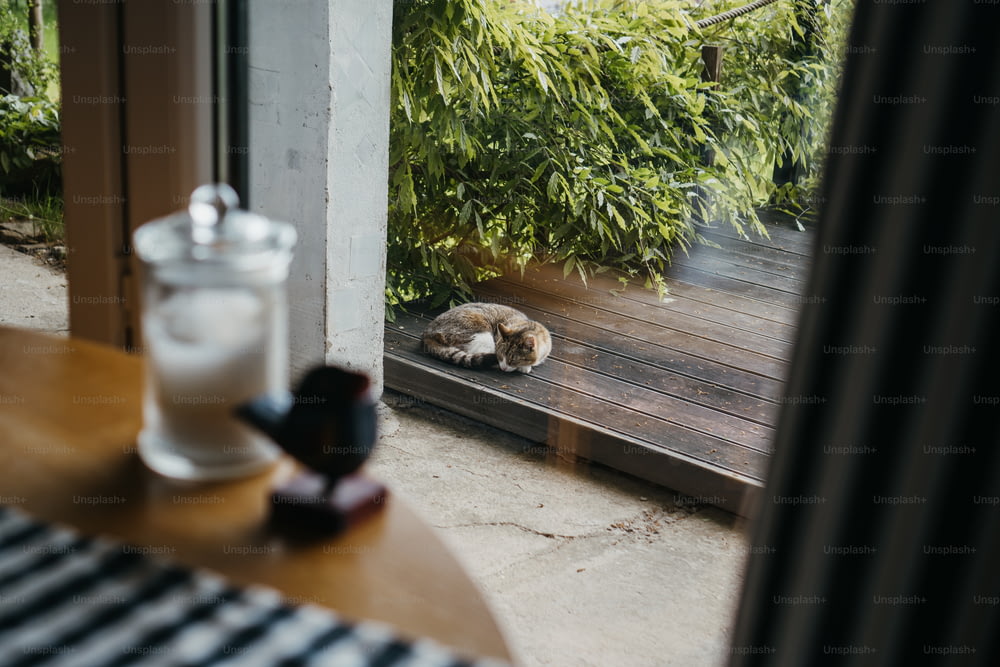 a cat is sleeping on a wooden deck