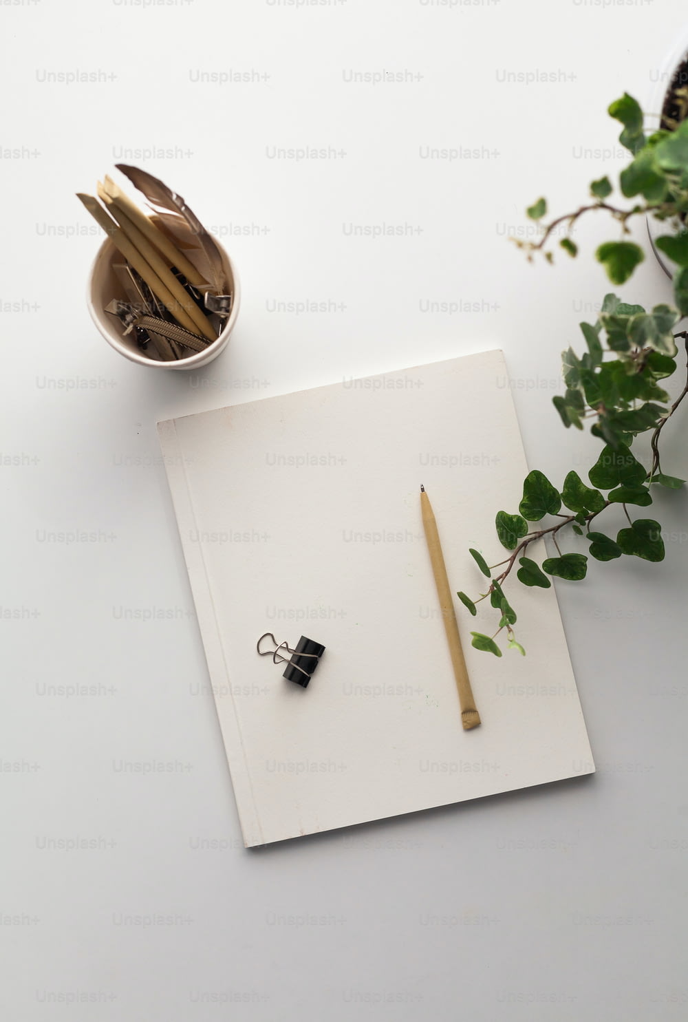 ein Notizblock mit einem Stift, einem Bleistift und einer Pflanze