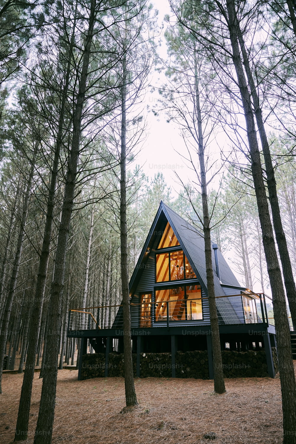a cabin nestled in the woods surrounded by trees