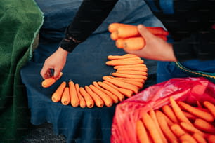 uma pessoa segurando um monte de cenouras em uma mesa