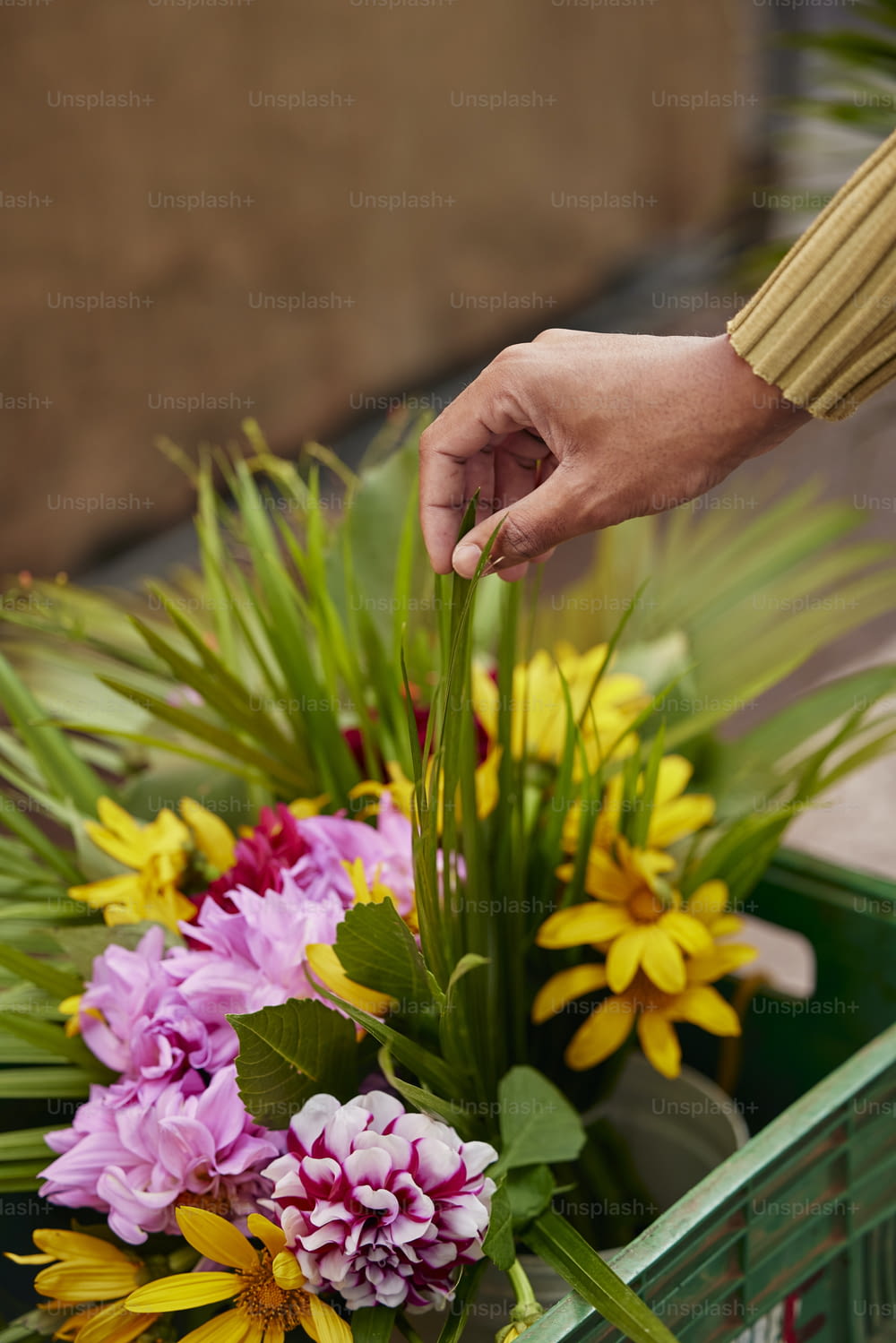 una persona che mette fiori in un contenitore verde