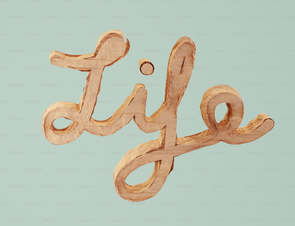 筆記体で「人生」という言葉が綴られた木製の看板