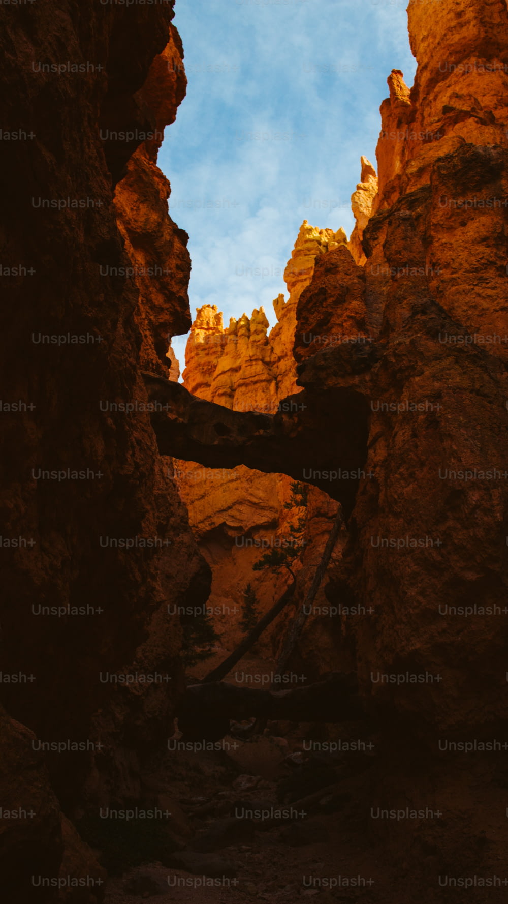 a narrow canyon with rocks and a sky background