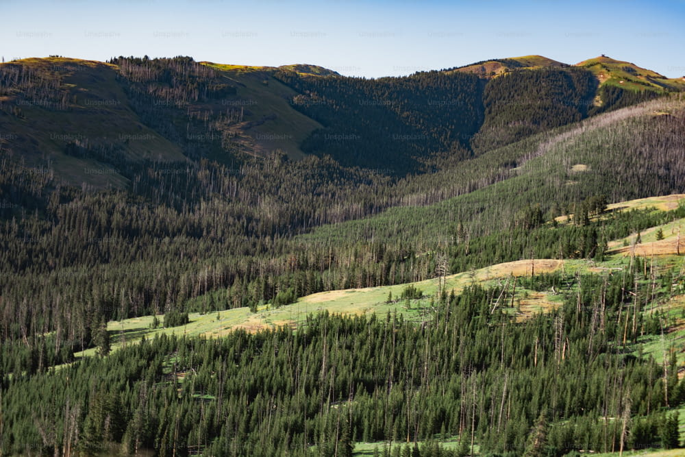 a view of a mountain range with trees and grass