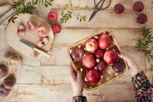 una persona sosteniendo una canasta de manzanas sobre una mesa
