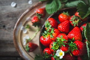 eine Schüssel gefüllt mit vielen reifen Erdbeeren