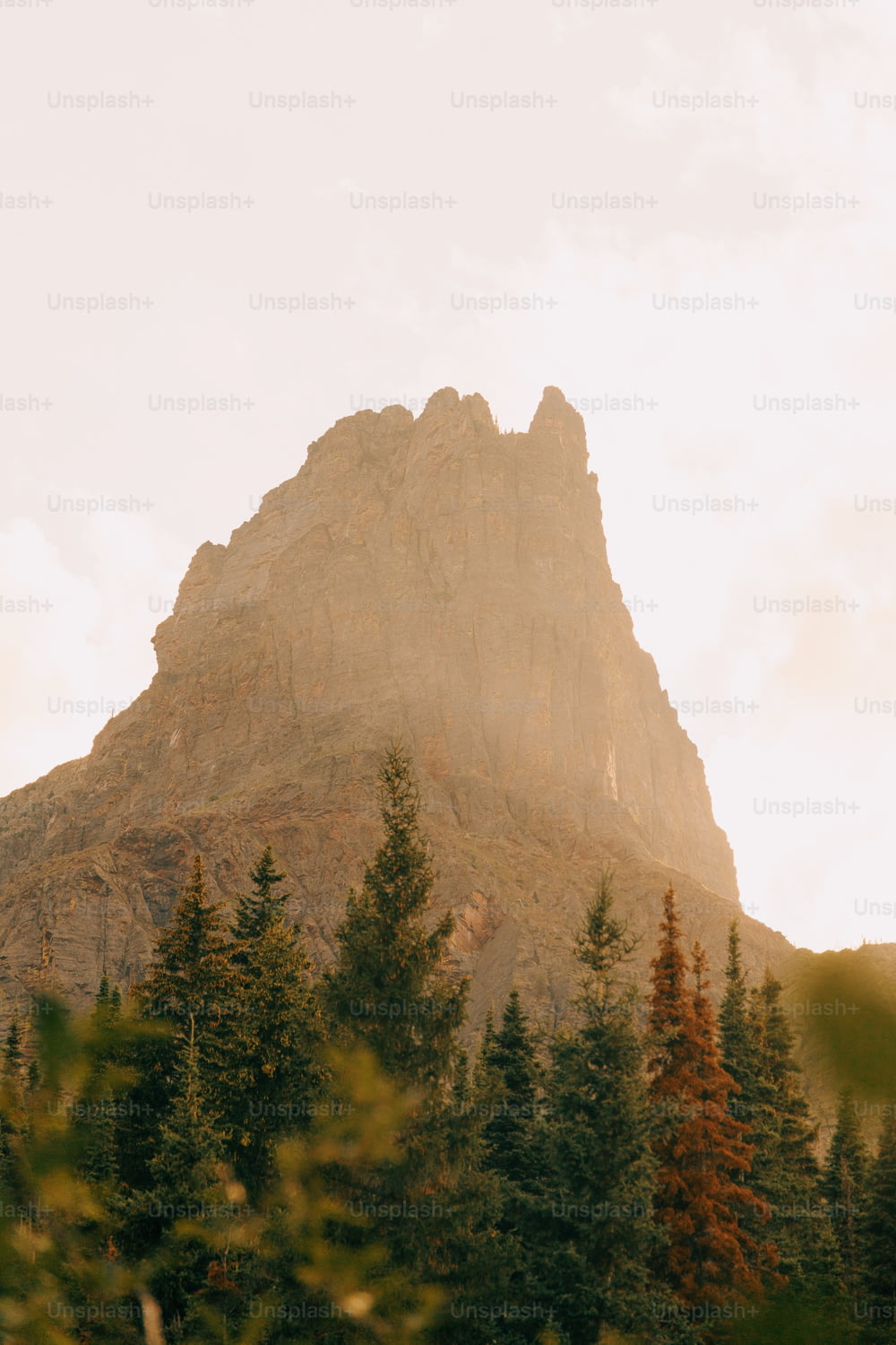 a tall mountain with trees in front of it