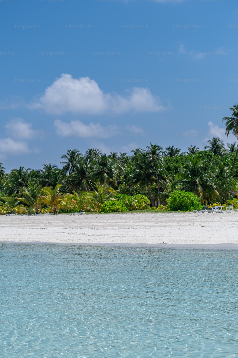 a sandy beach with palm trees and blue water