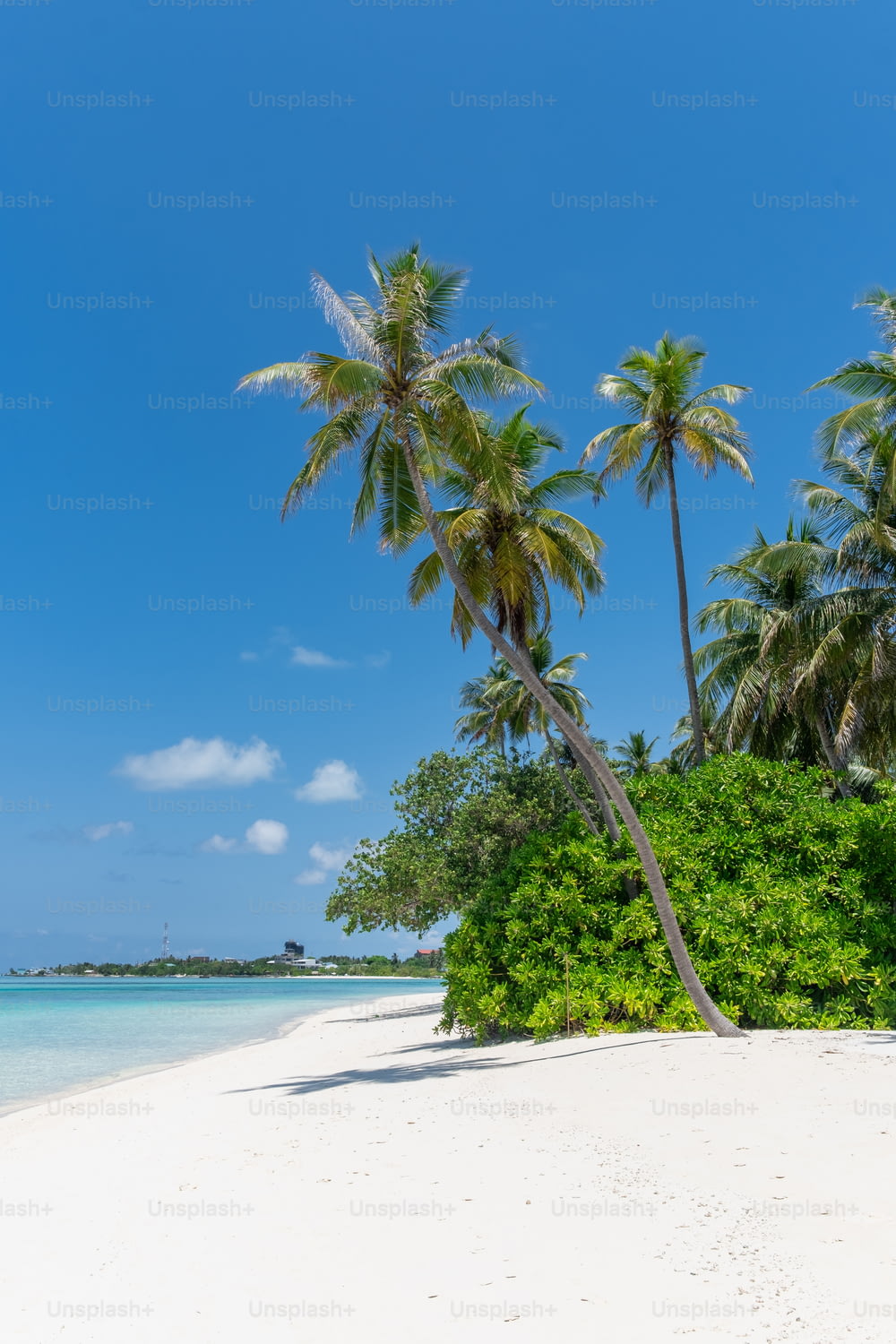 a sandy beach with palm trees and blue sky