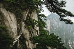 a ladder going up the side of a mountain
