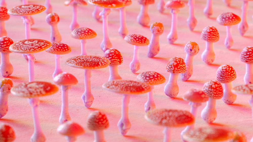 a group of tiny mushrooms on a pink surface